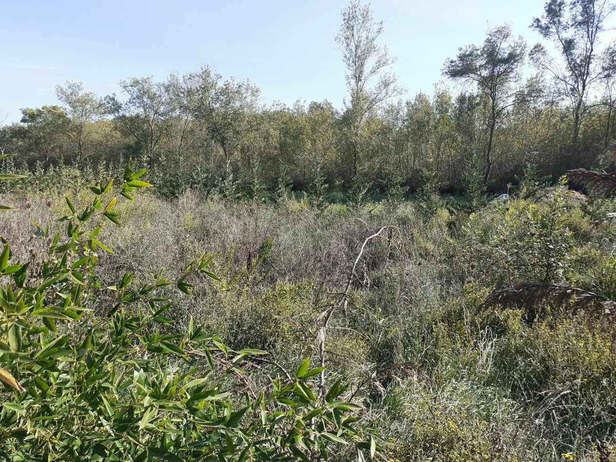 Petites routes de campagne autour de la bouverie - Roquebrune-sur-Argens