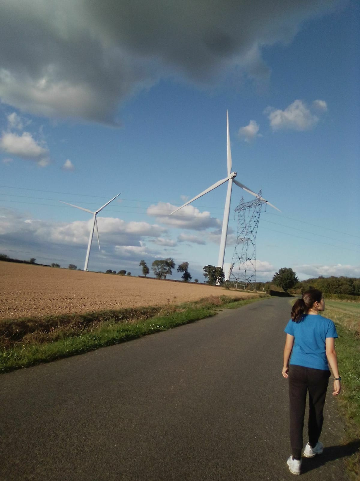 Decouvrir aux plus près les éoliennes. - Chemillé-en-Anjou
