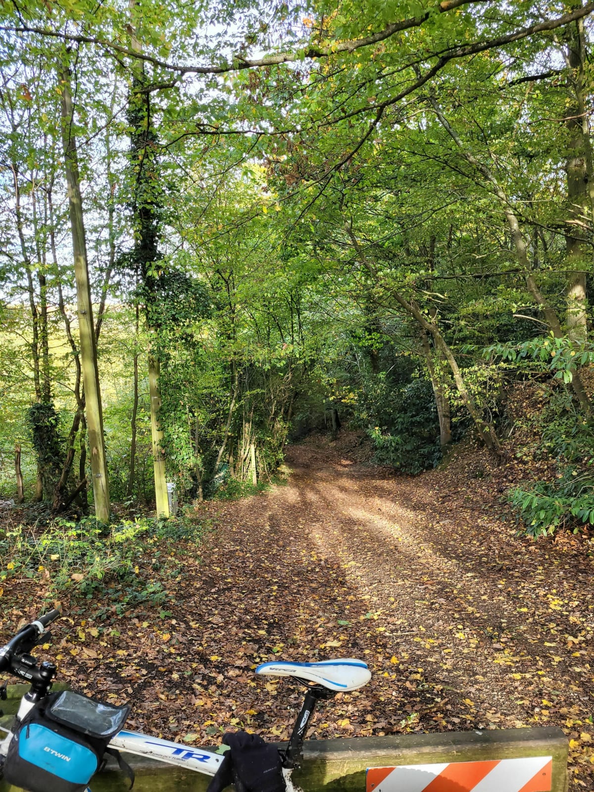 Single vtt autour de Port Royal - Magny-les-Hameaux
