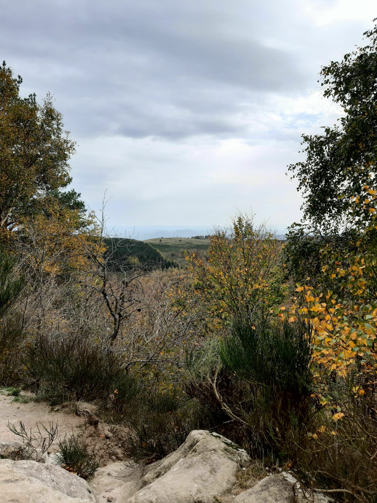 Wandeling van de grot van Sarcouy naar Puy des Goules - Orcines