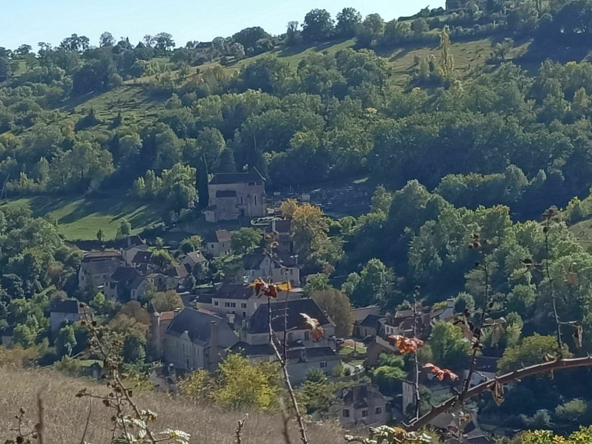 Chemin d'Aubiguières - Feuille de chêne verte - Fons