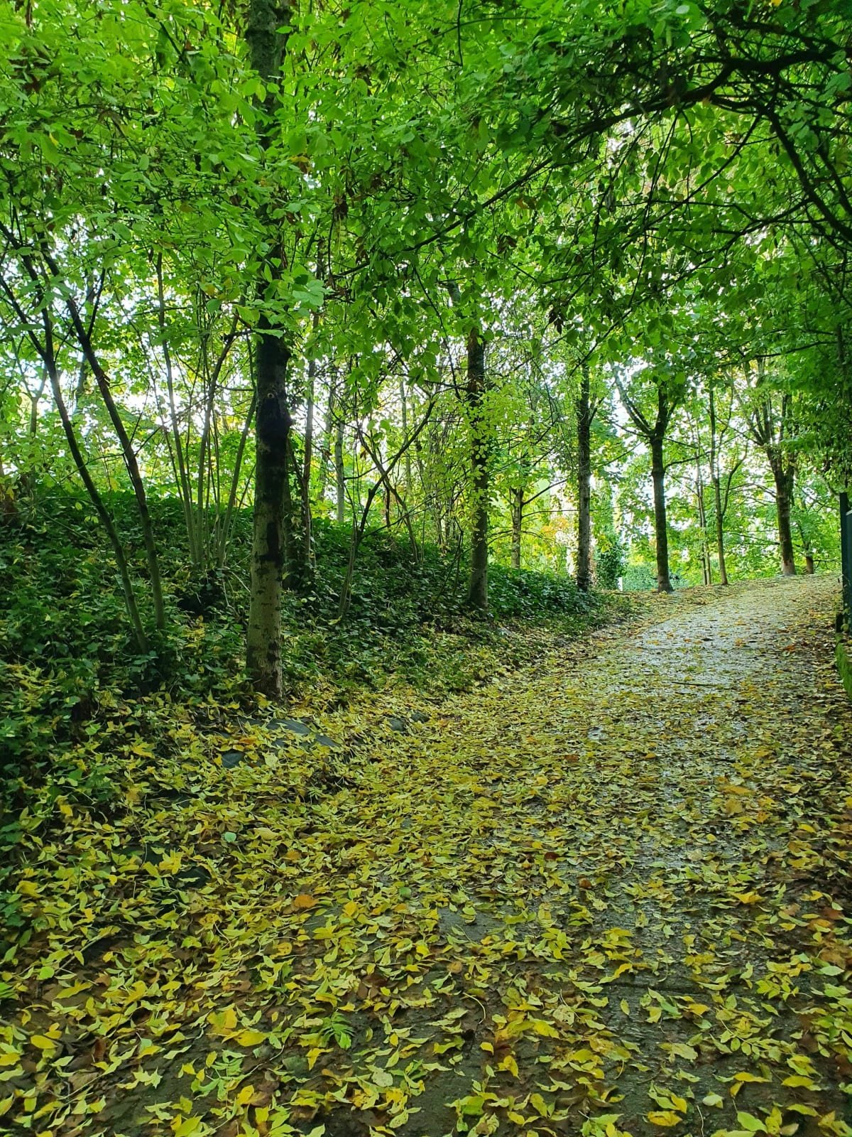 Balade au gré du vent du côté de Saint-Germain - Villeneuve-les-Genêts