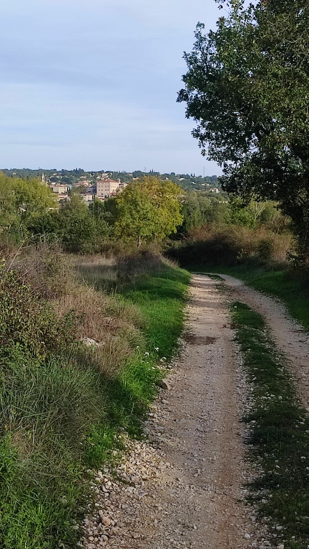 VTT cool dans la plaine de Barjac - Barjac