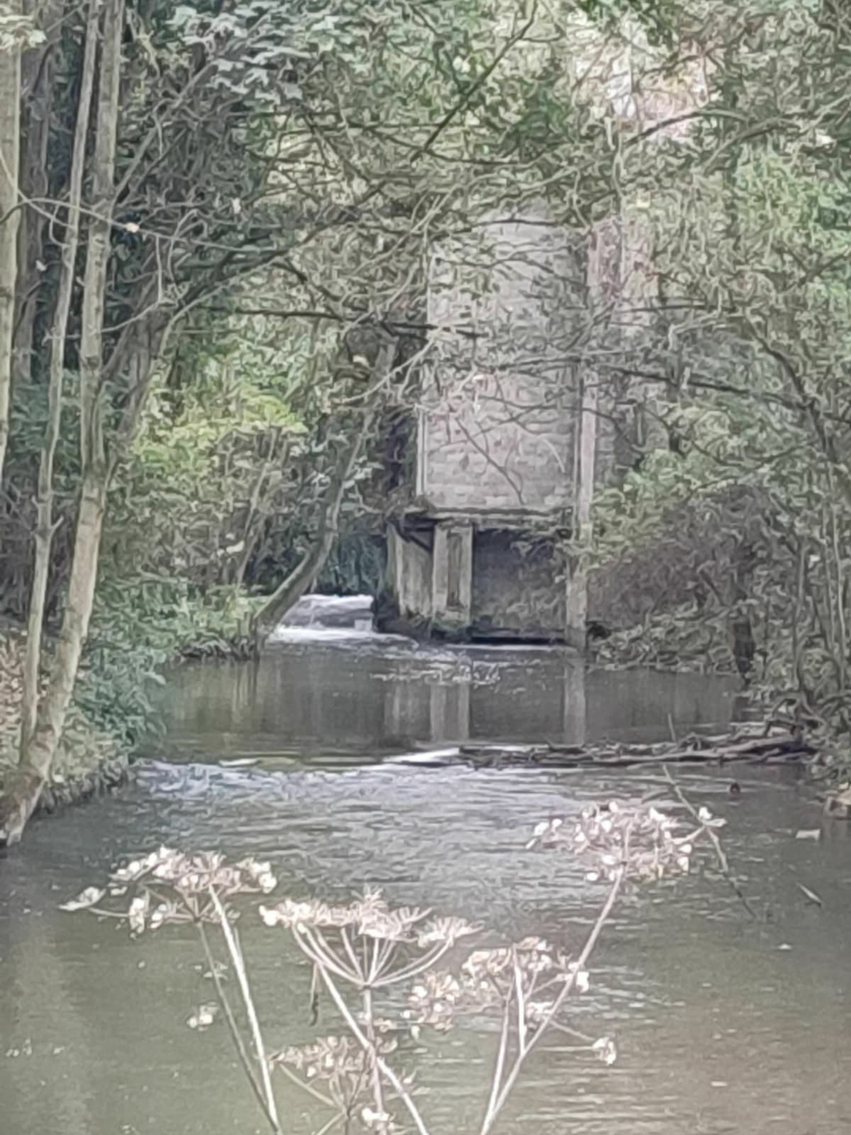 Balade autour du lycée agricole du Paraclet - Boves