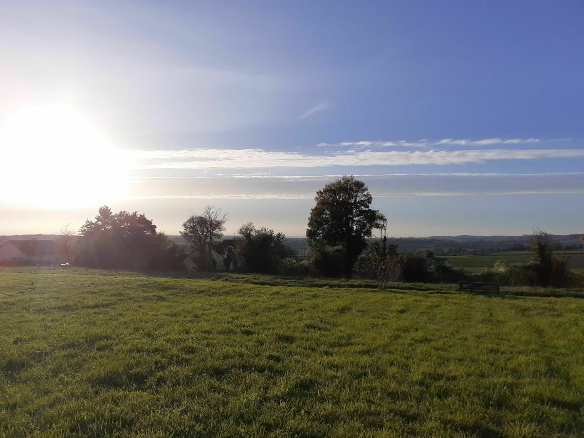 Promenade aux alentours de Moulins la Marche - Moulins la Marche