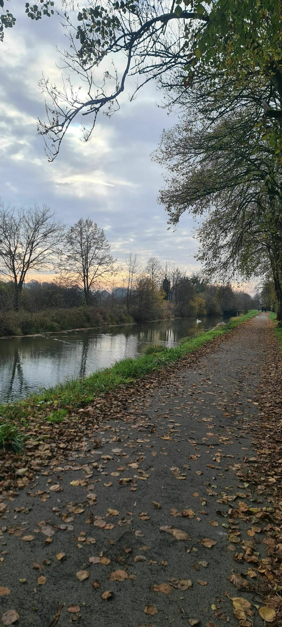 Balade d'automne - Montbéliard