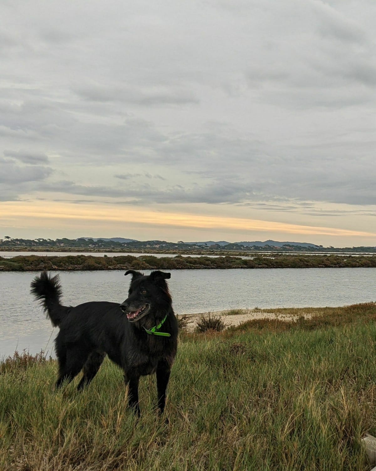 Bois de Costebelle et son Oppidum - Hyères