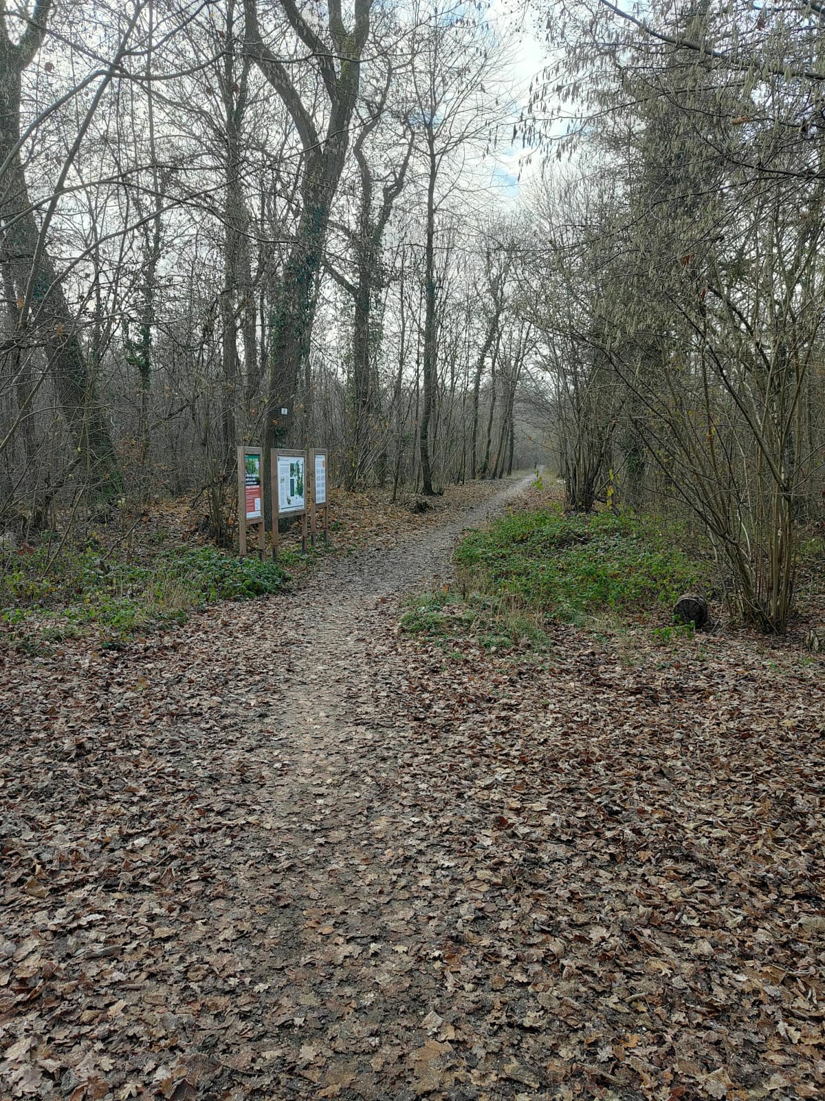 Beau parcours sportif rénové dans la forêt périurbaine Neuhof - Strasbourg
