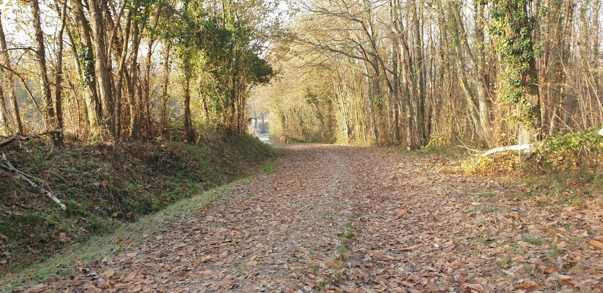 Balade autour de Fléré par la Thuillerie - Fléré-la-Rivière