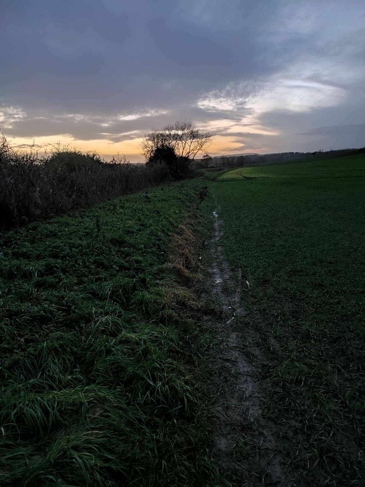 Randonnée sur les chemins de Genvry - Genvry
