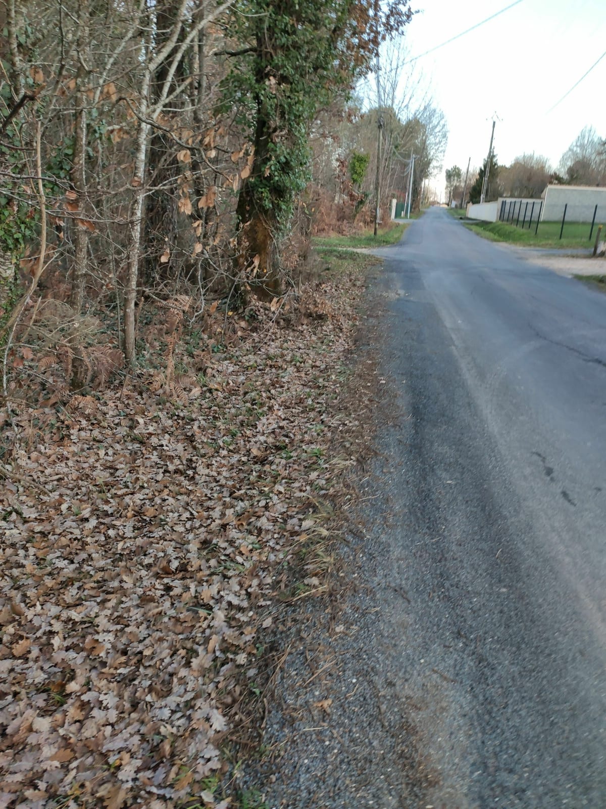 La raquette des sommets de La Peyrade - Bassillac et Auberoche