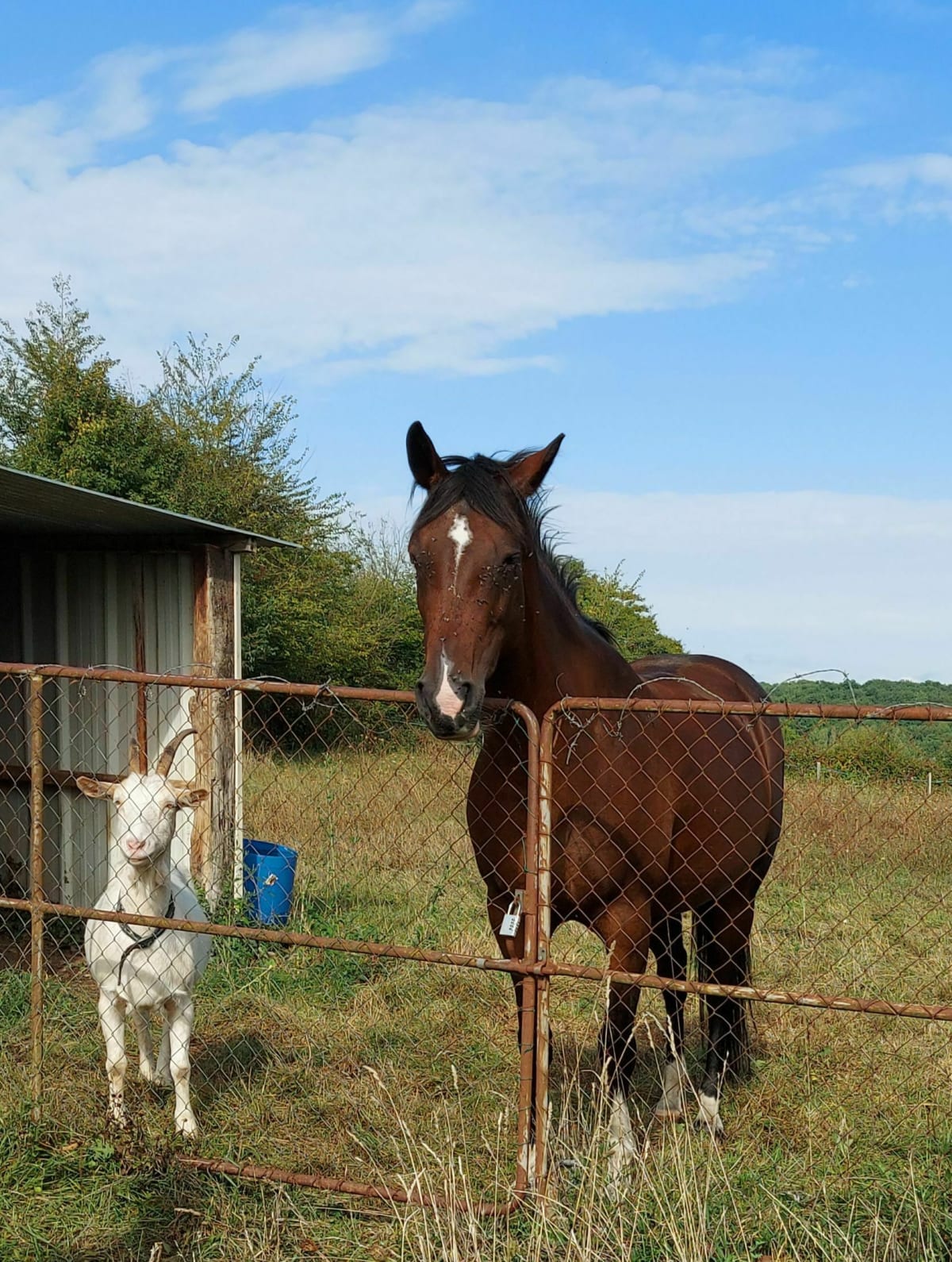Marche en zone limousine - Saint-Yrieix-la-Perche
