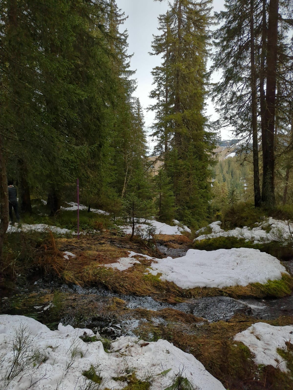 Balade au Mont lachat - Villard-sur-Doron