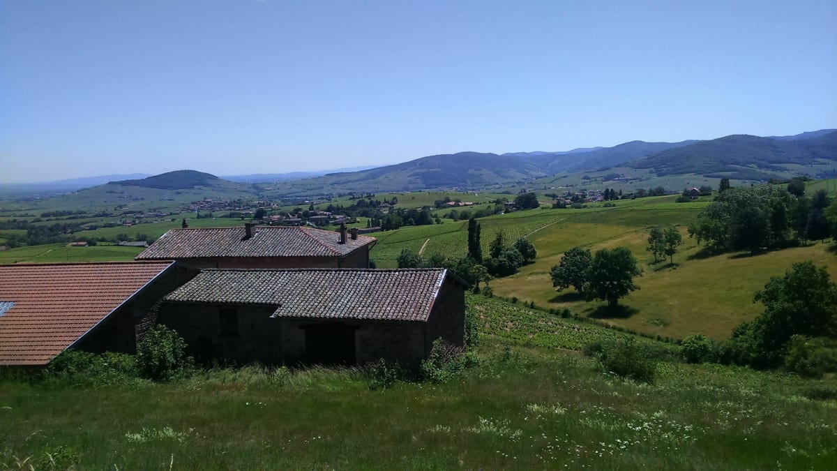 Détente cycliste en Beaujolais - Jean-marc