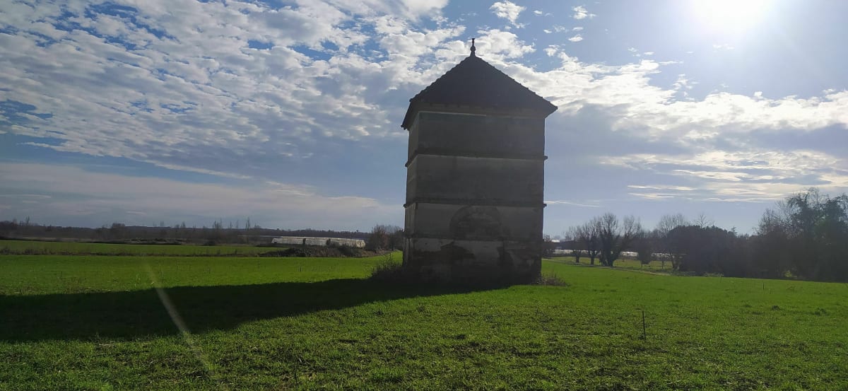 Entre Tarn et Garonne et Haute Garonne dans les vignes - Orgueil