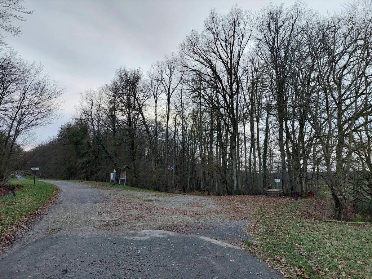 Sources de la Nied - Seingbouse