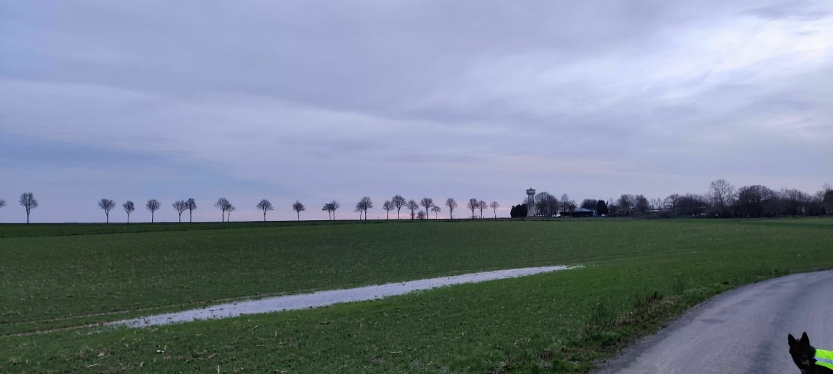 Balade dans les bois et les champs d'Hénu - Hénu