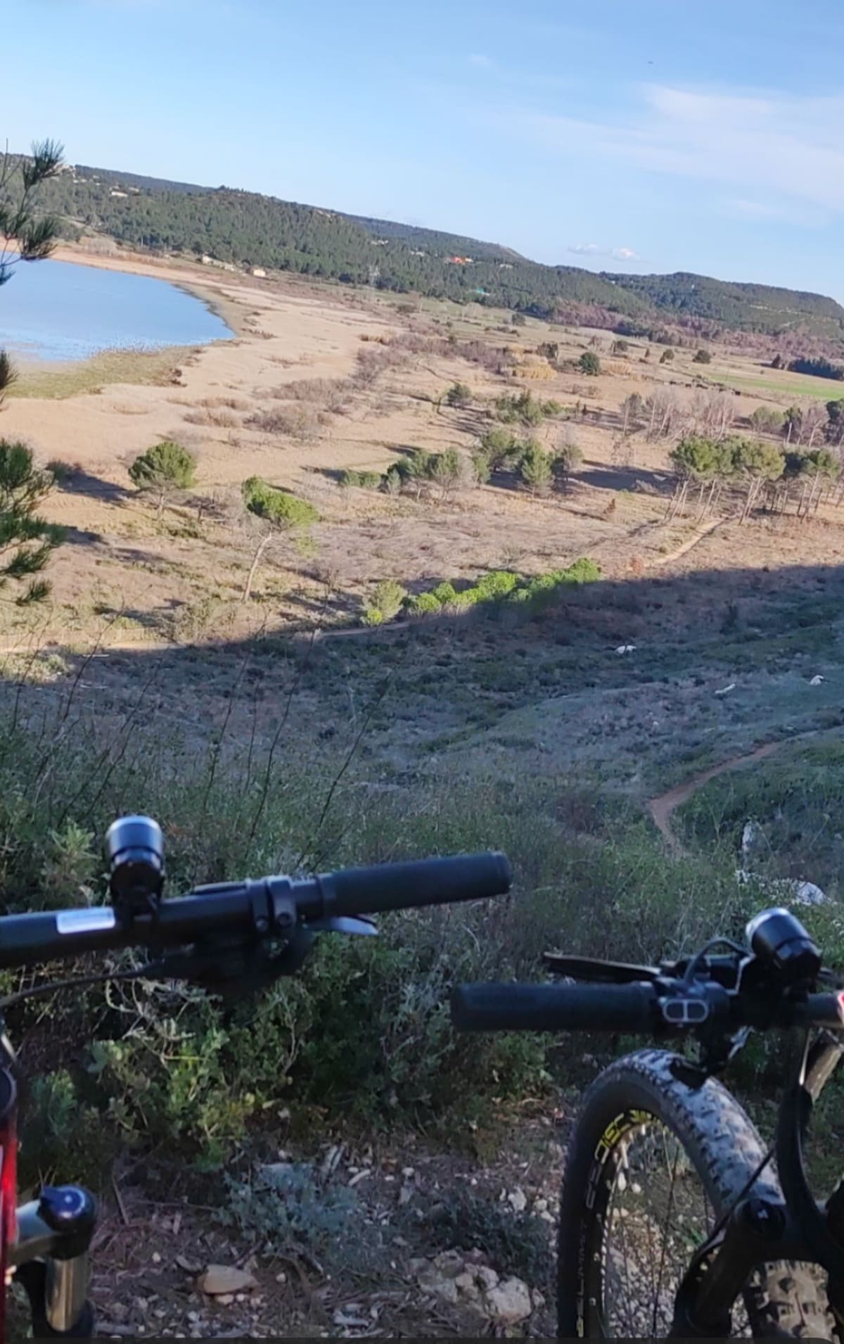 Sortie en forêt de Castillon - Sylvain Cindy