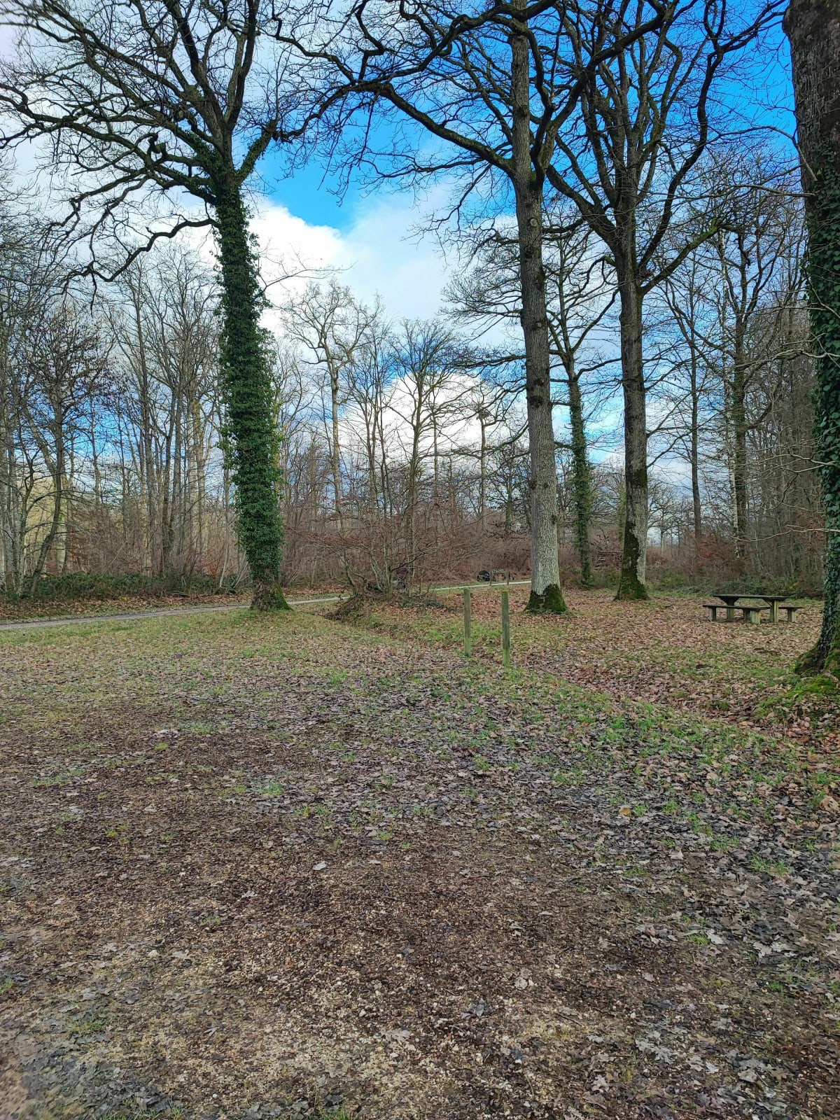 Promenade dominicale - Chenoise-Cucharmoy