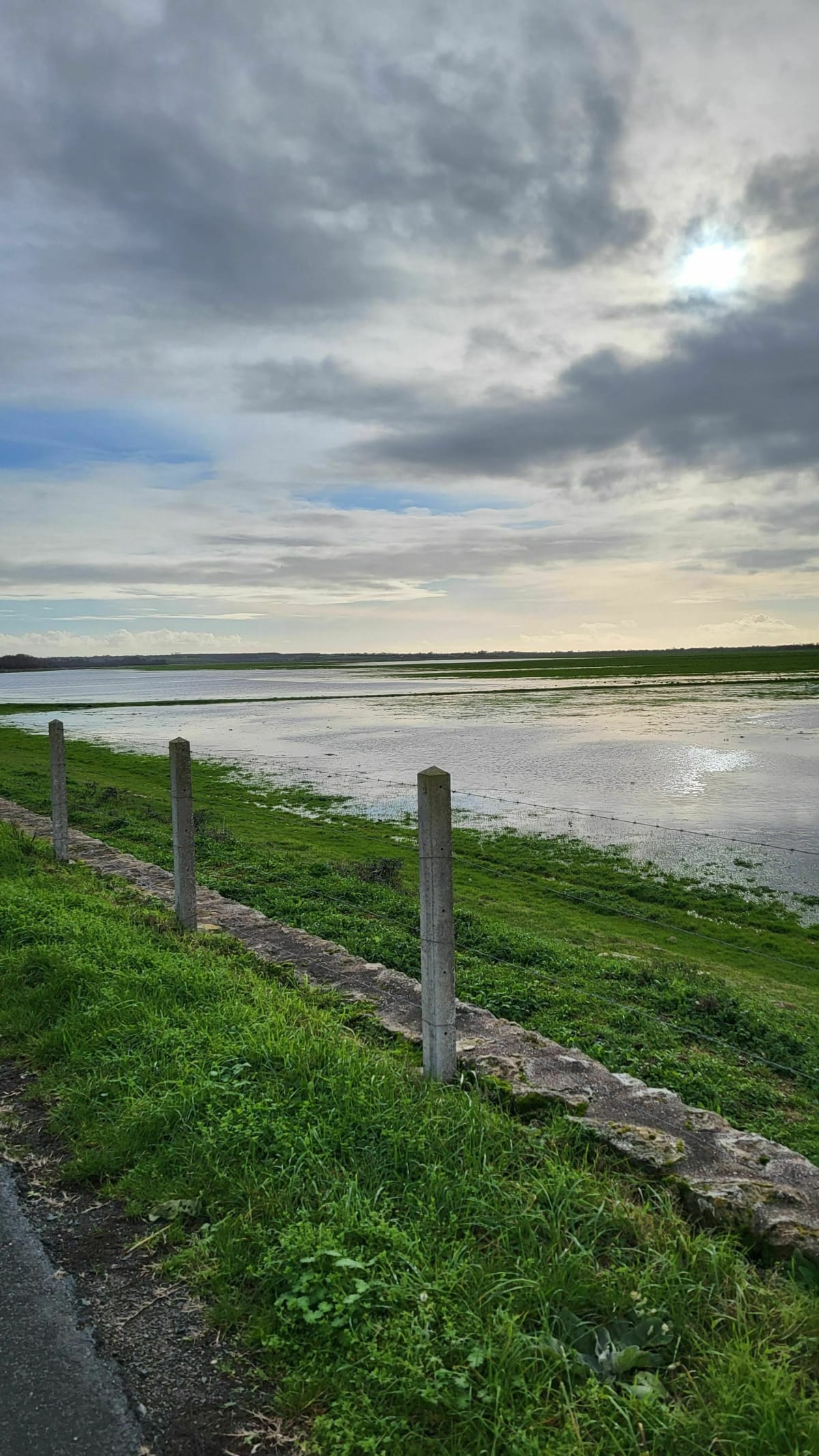 Petite promenade au marais de Lairoux - Lairoux