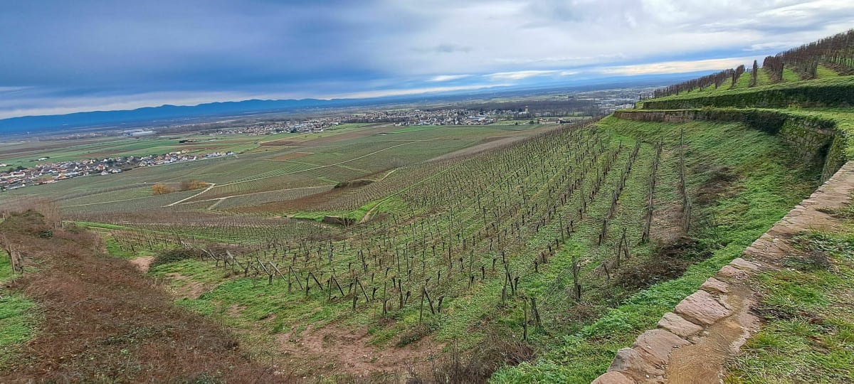 Balade sur les hauteurs de Guebwiller - Guebwiller