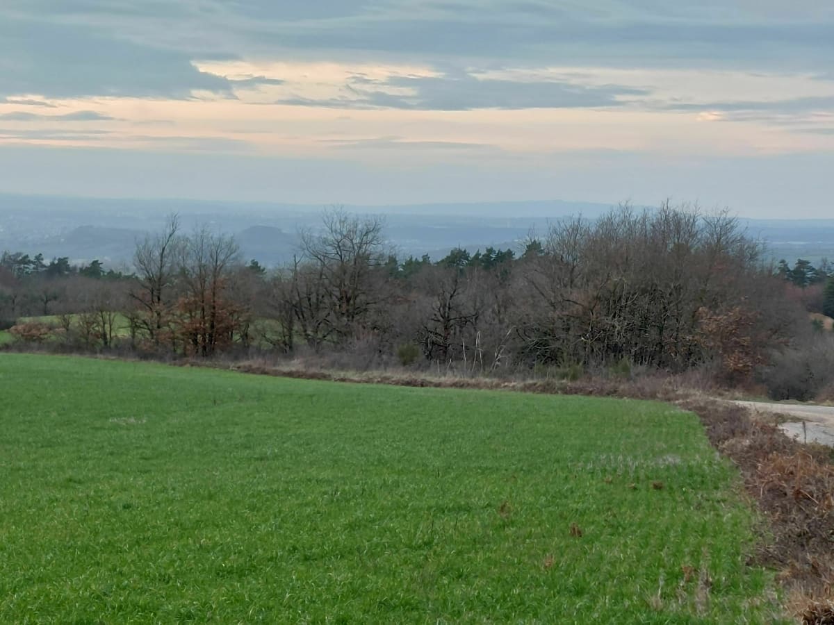 Agen-d'Aveyron dans la Forêt des Palanges - Agen-d'Aveyron