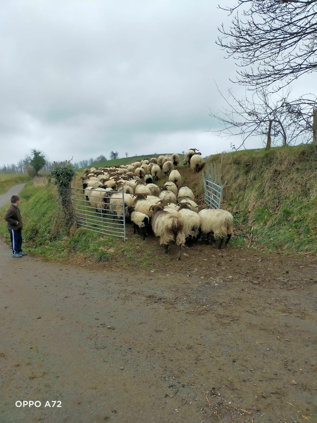 Balade d'Harrietagaina vers Çaro - Saint-Jean-le-Vieux