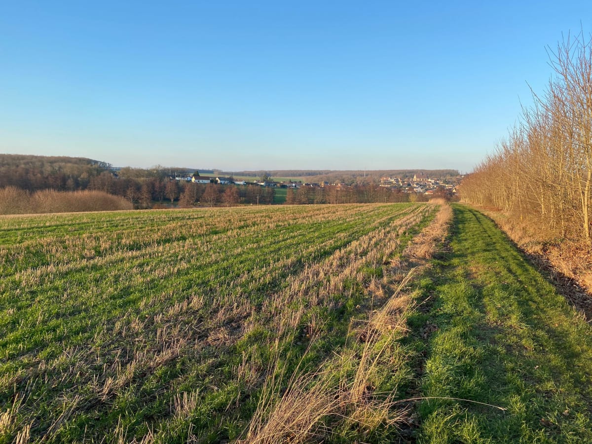 Tour entre Saulnieres et Fontaine les Ribouts - Saulnières