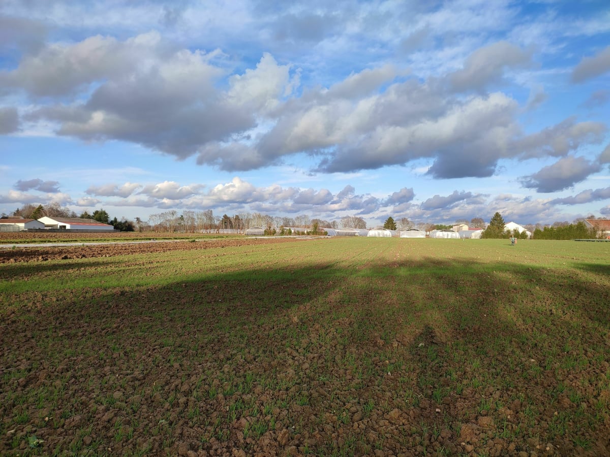 La Maraîchère, dans les champs de Périgny - Périgny