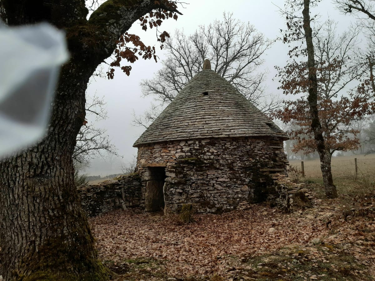 Sortie dans le causse du côté de saint clair - La Capelle-Balaguier