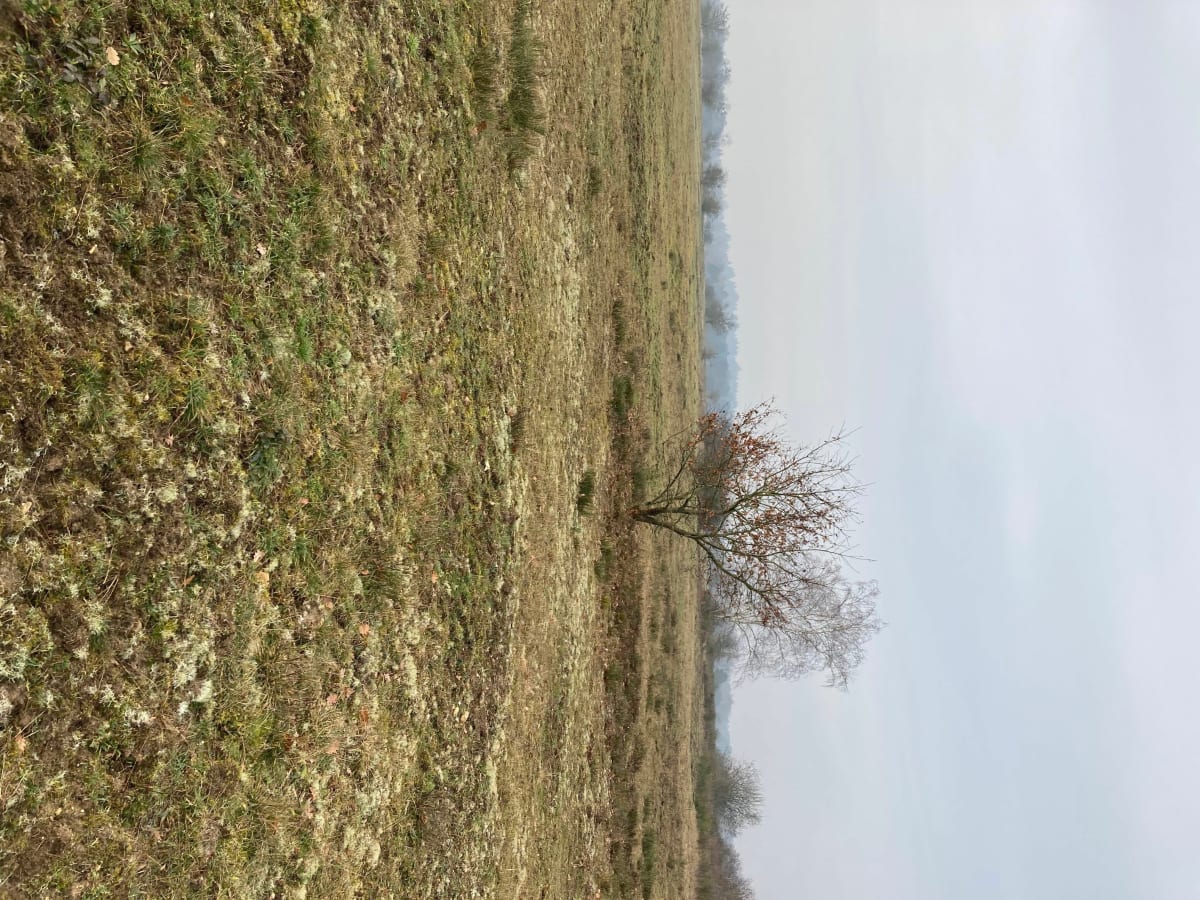 Boucle de la réserve de Moisson - Moisson