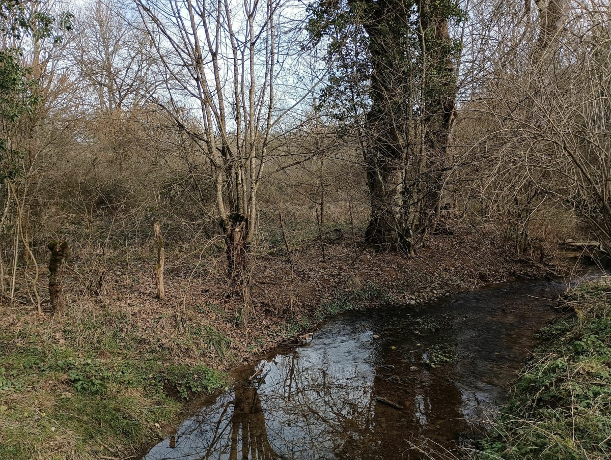 Promenade autour de la passerelle - Torcy-et-Pouligny