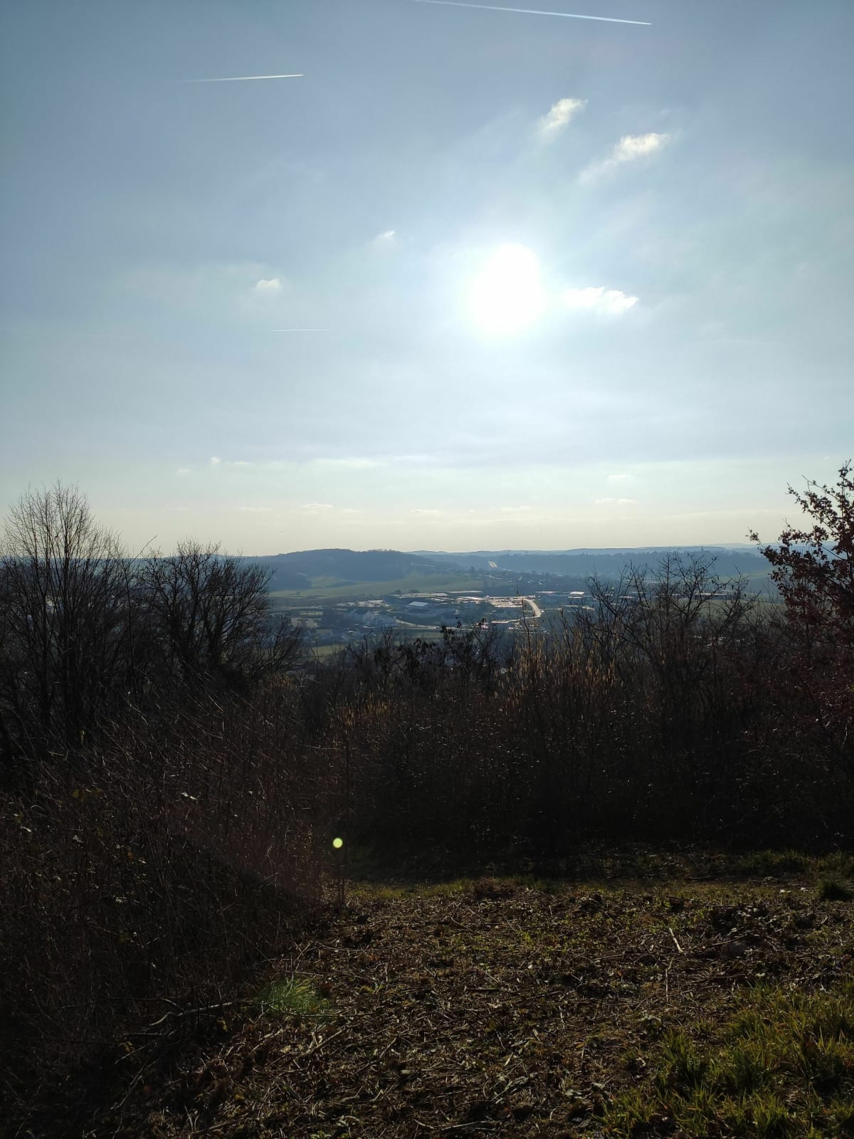 Balade autour du Mont et sentier botanique à Pouilley les Vignes - Pouilley-les-Vignes