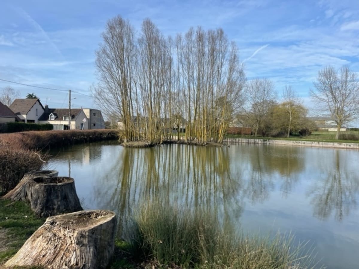 Vtc en forêt d'Orléans - Chevilly