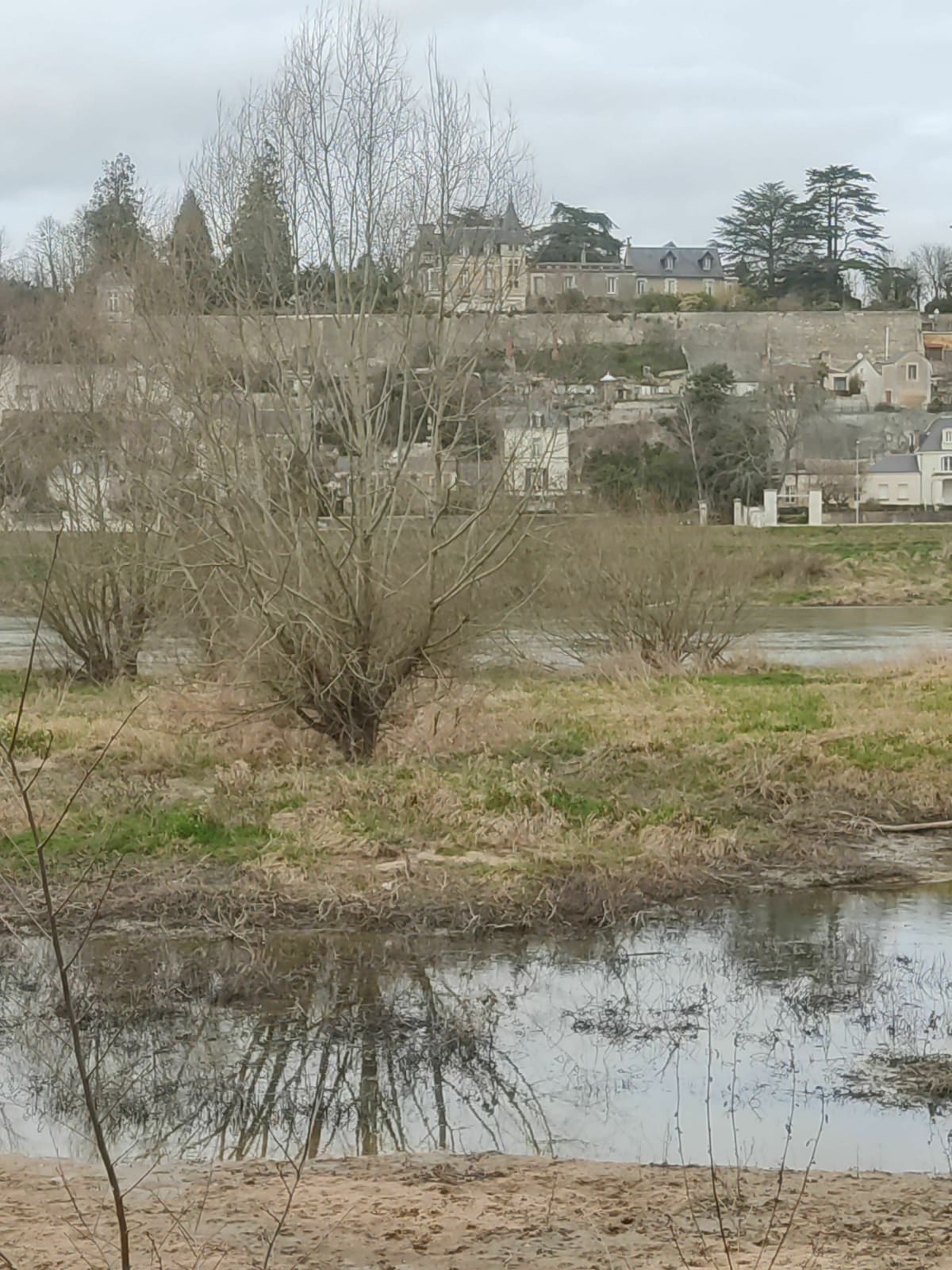 L'île de la Métairie par la Pointe à Cornu - La Ville-aux-Dames
