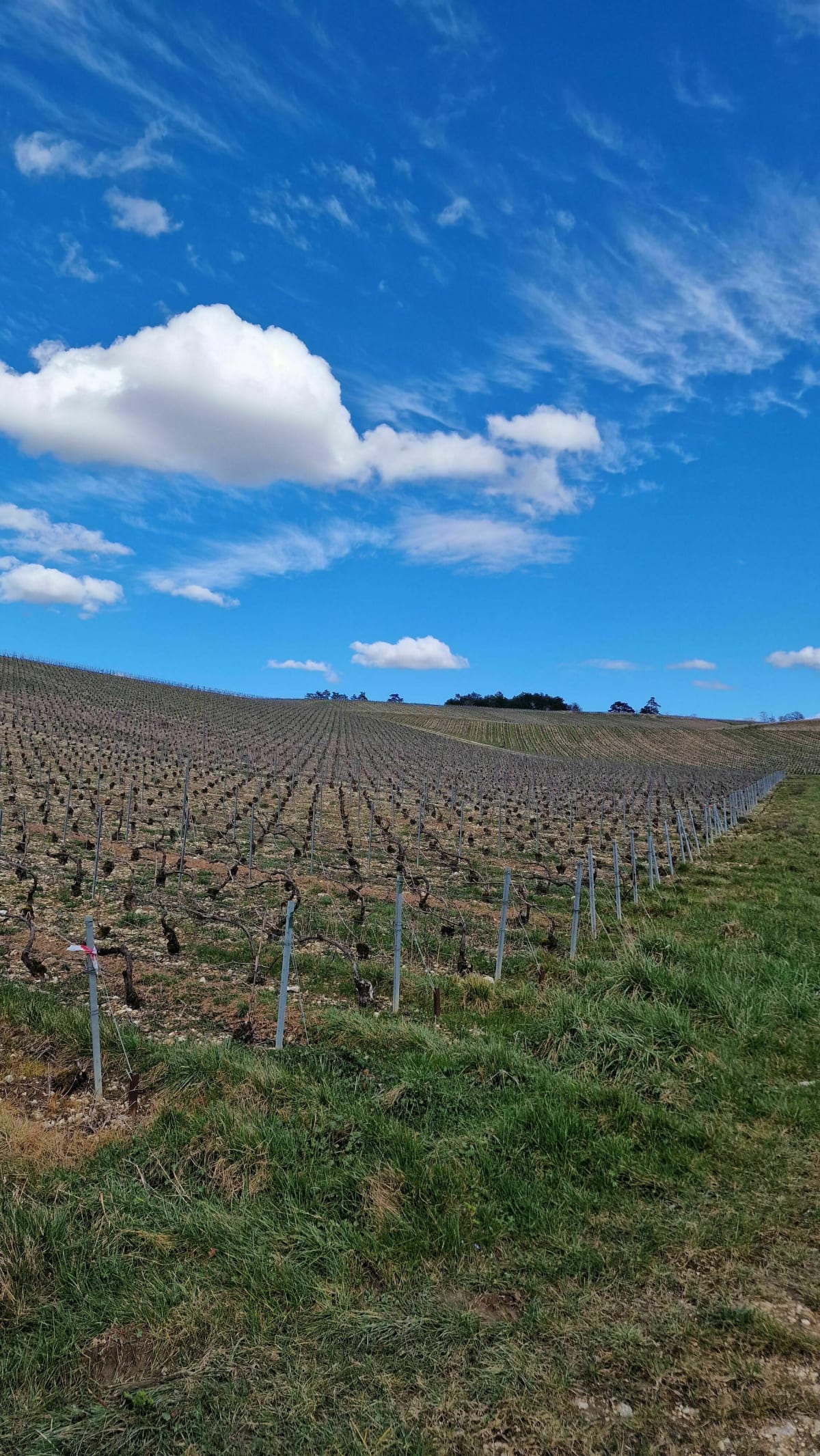 Urville et les Vignes, par Noé-les-Mallets à VTC - Urville