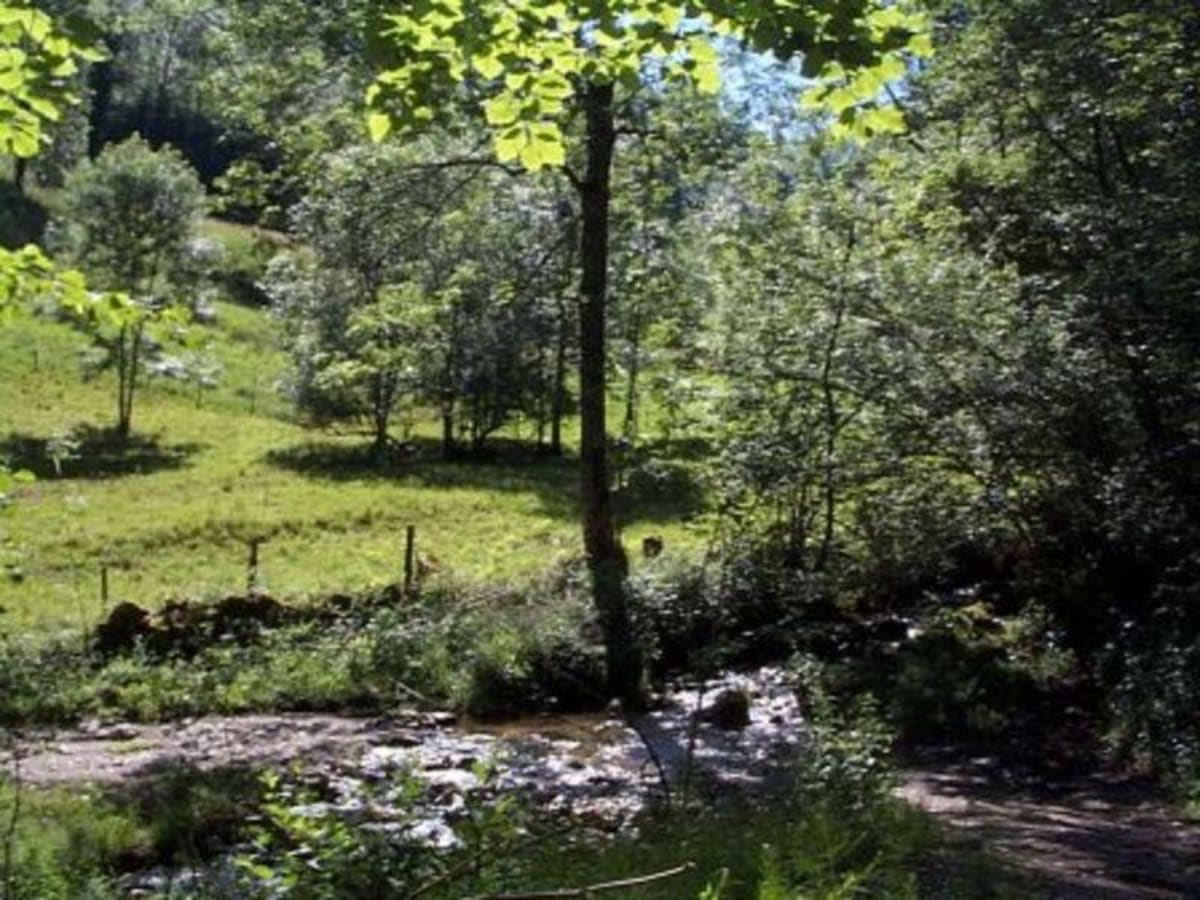 Circuit La Pastorale en VTT - Ercé