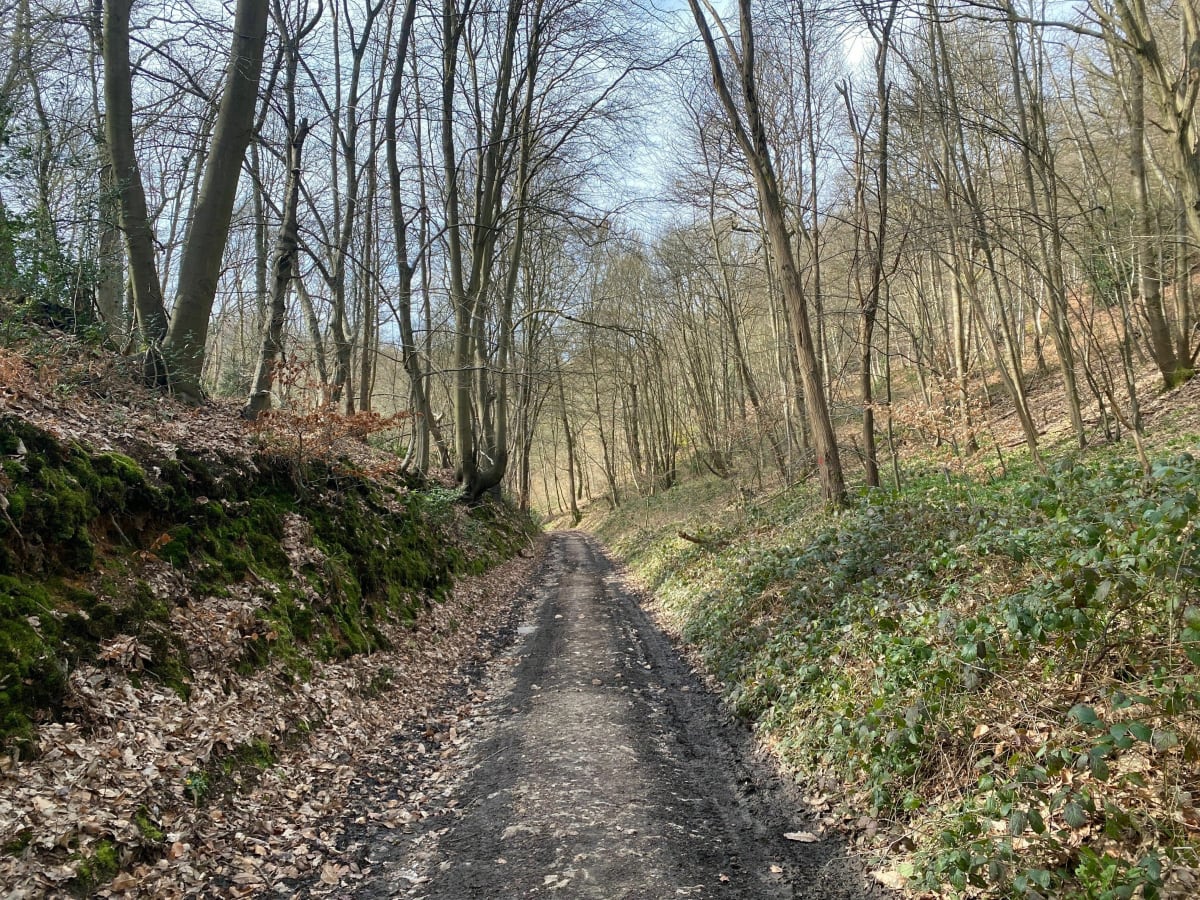 Hameau de Beaufils en passant par le Val au Geai - Saint-Nicolas-de-la-Taille