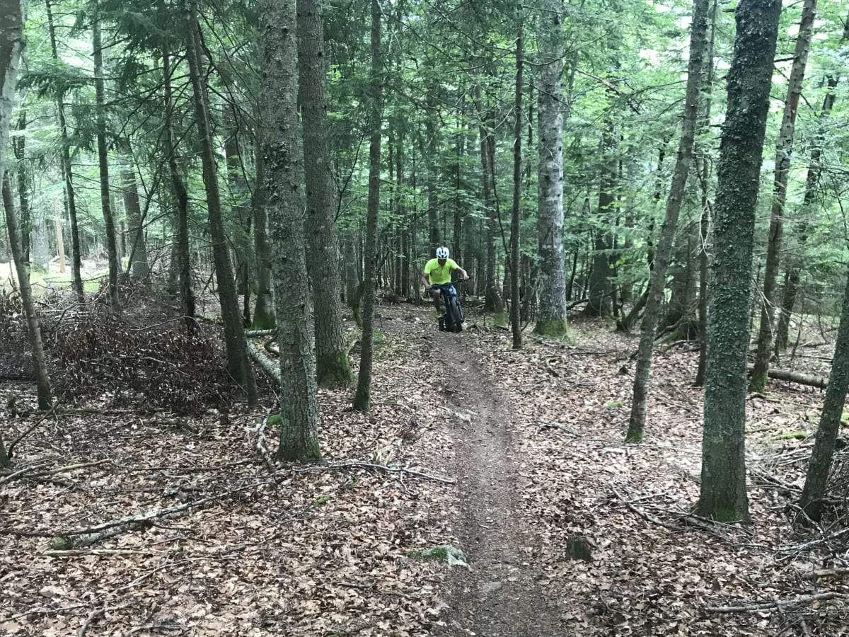 Le tour de la Gloriette par Coullons à VTT - Lion-en-Sullias