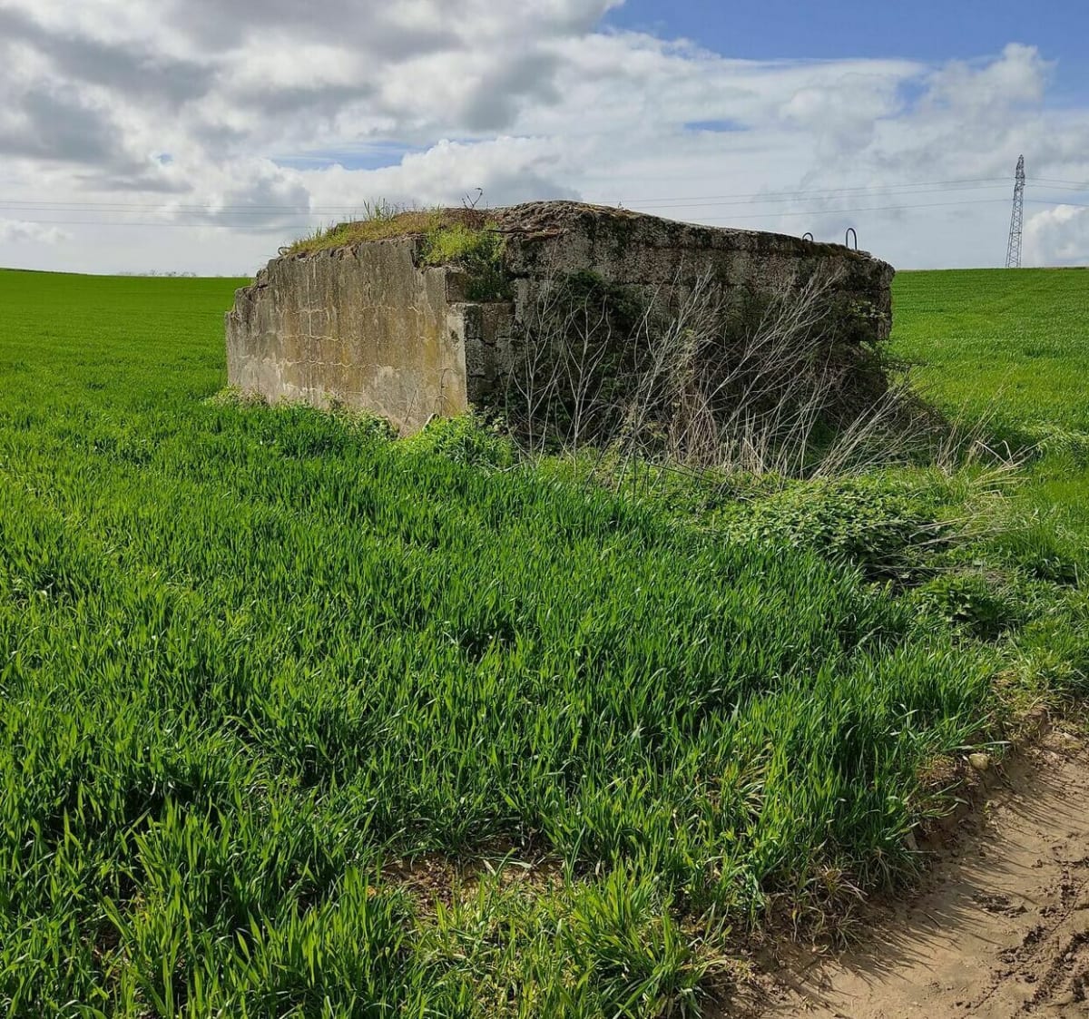 Rando VTT et VTTAE à Morschwiller par Galfingue et Hochstatt - Morschwiller-le-Bas