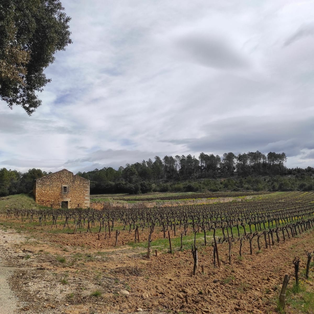 Très belle boucle de Saint André d'Olerargue par sabran à VTT - Saint-André-d'Olérargues