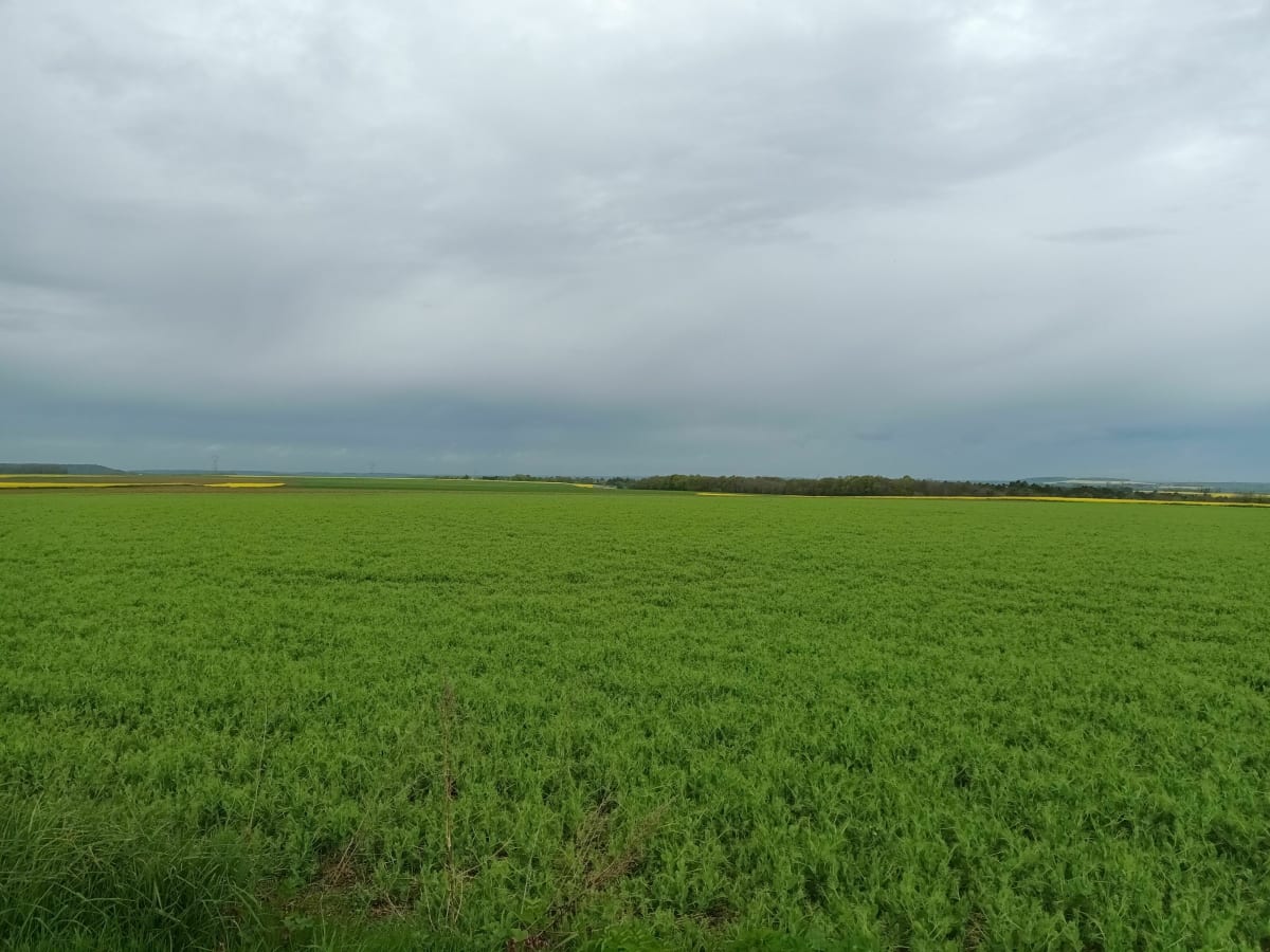 Promenade au départ de Noisy-Rudignon - Noisy-Rudignon