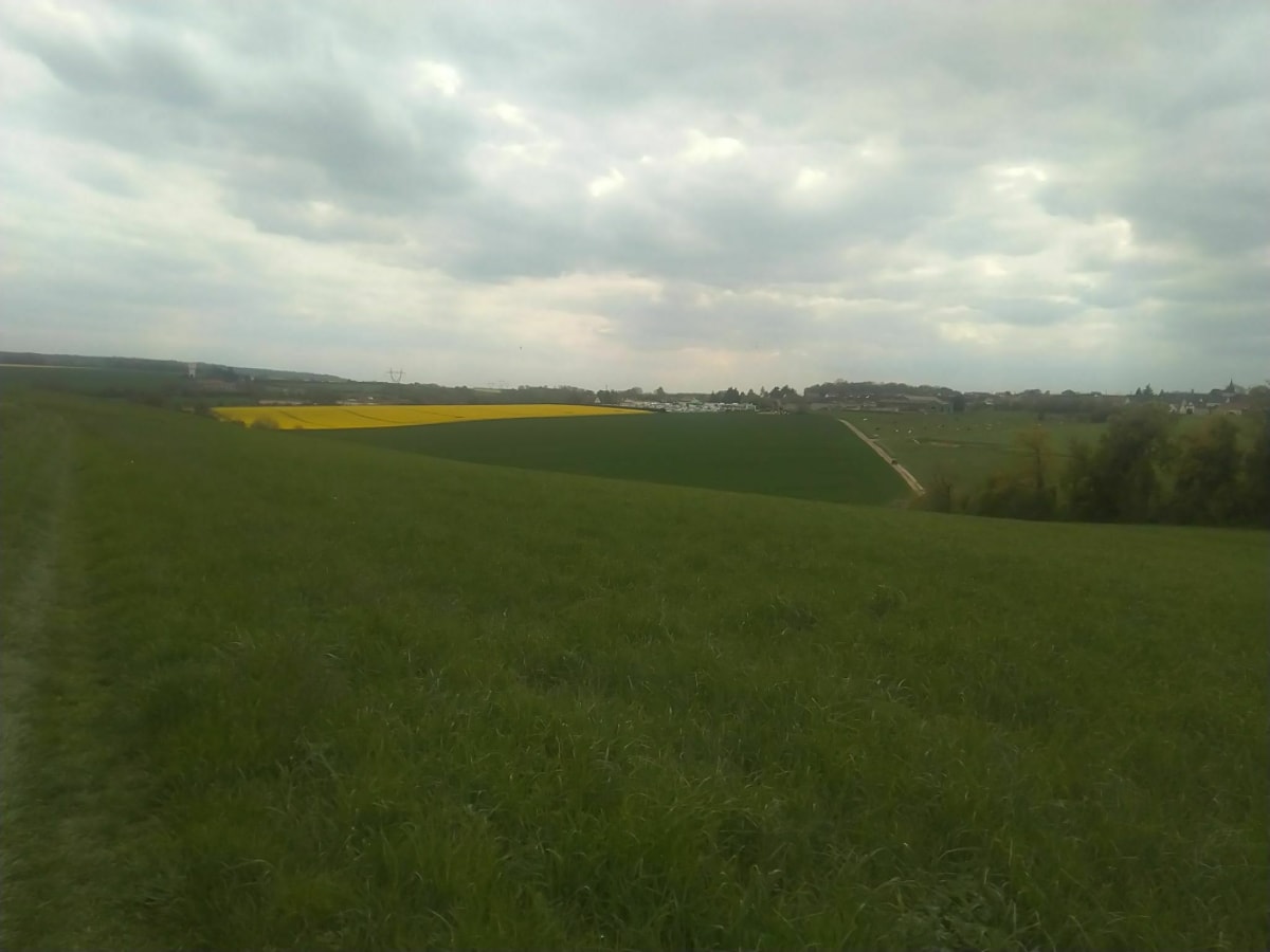 Autour de Saint-Aubin par Bois Plisson - Saint-Aubin-sous-Erquery