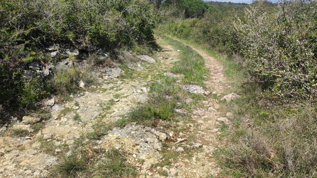 Tour du botanique Aragon - Aragon