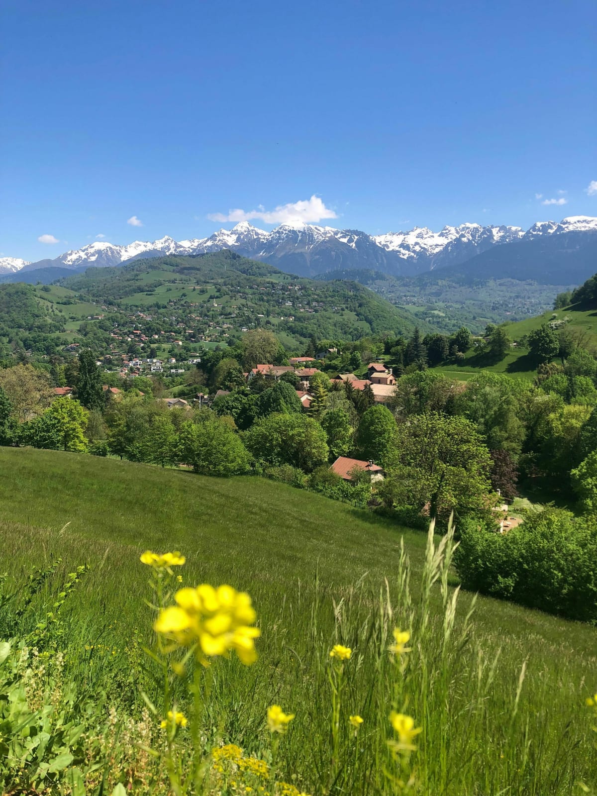 Aller-retour au mûrier depuis Gieres - Gières