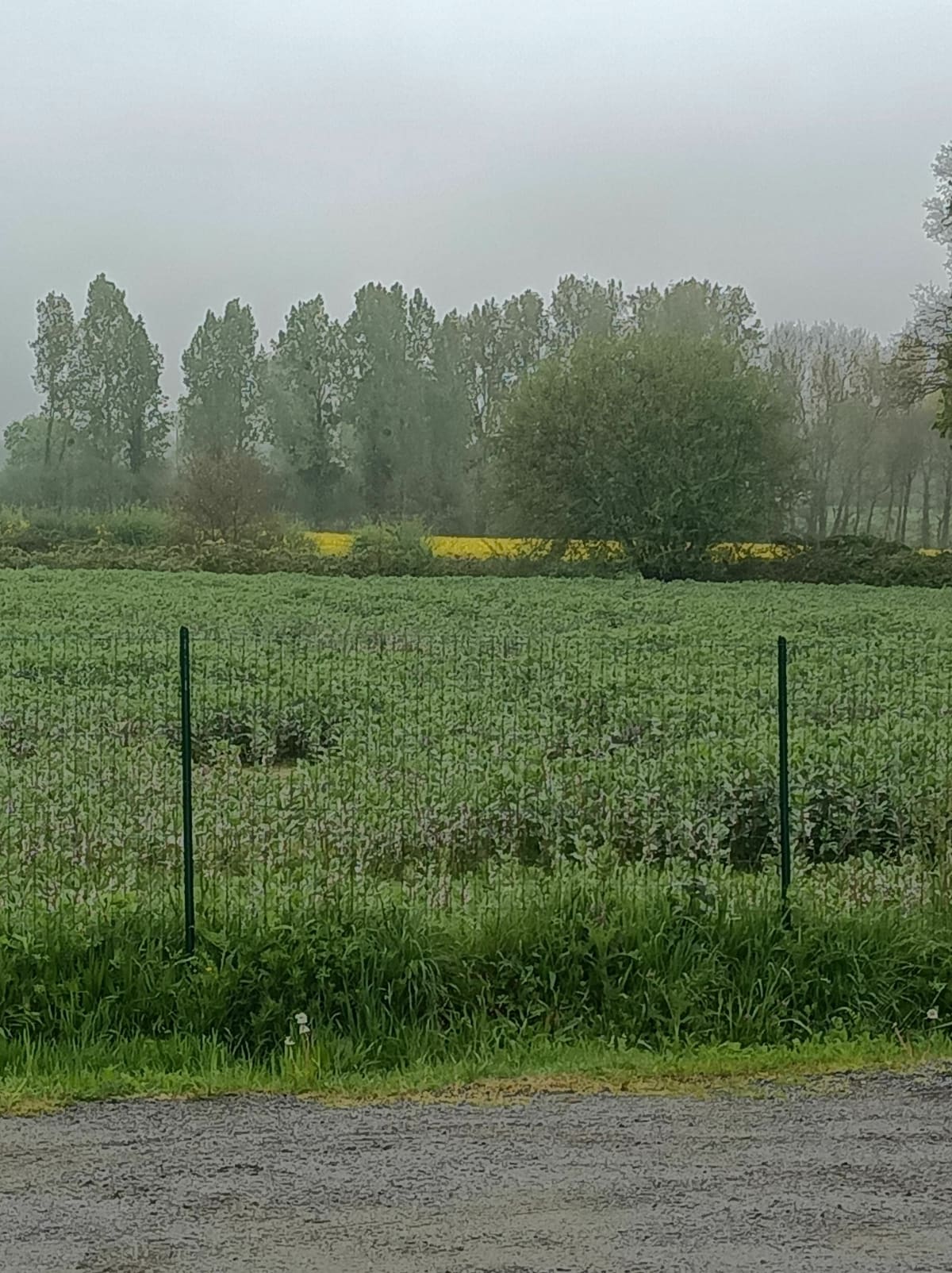 Sortie VTT depuis Lanvallay - Lanvallay