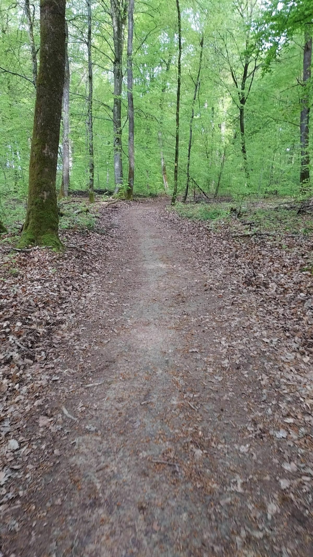 Sortie à Andelarrot - Andelarrot
