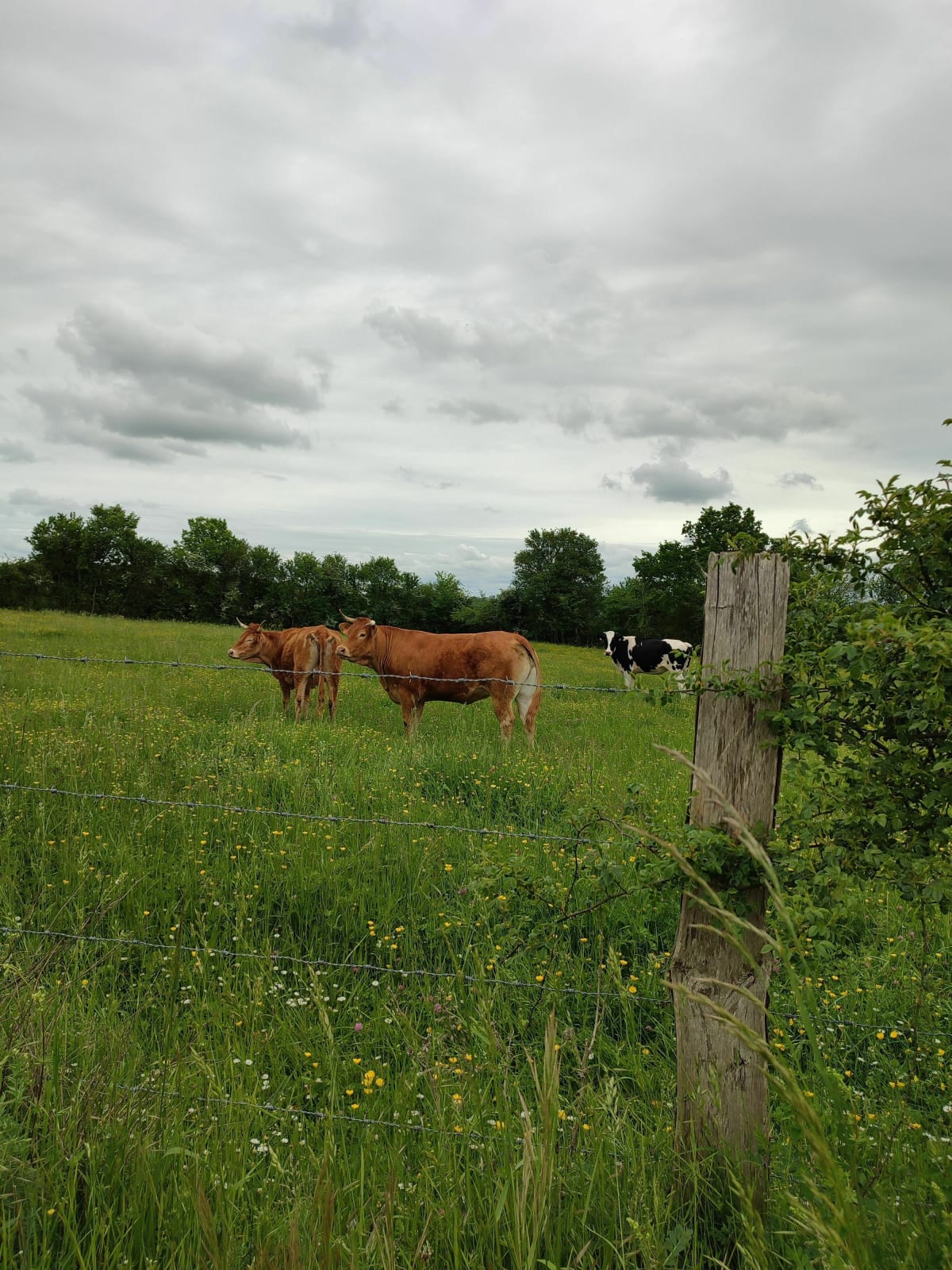 Petite balade autour d'Amné - Amné