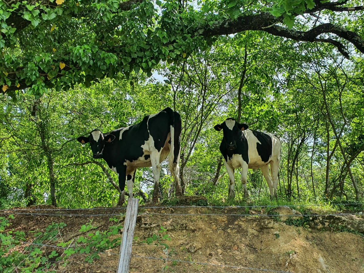 Sortie dans le Périgord - Sainte-Nathalène