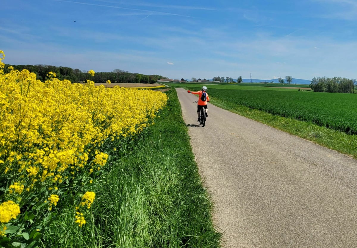 Circuit Sundgau sur voies douces macadamisées (propres...) - Heimersdorf